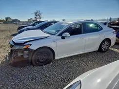 4T1C31AK9LU538800 2020 TOYOTA CAMRY