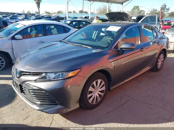4T1C31AK9LU543348 2020 TOYOTA CAMRY - Image 2