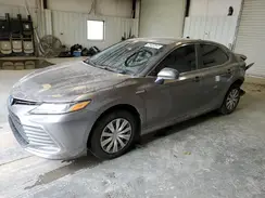 4T1C31AK9MU022910 2021 TOYOTA CAMRY