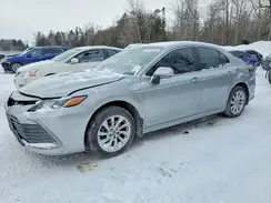 4T1C31AK9MU567358 2021 TOYOTA CAMRY
