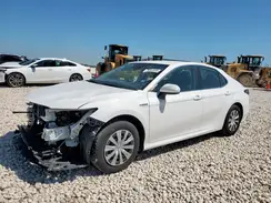 4T1C31AK9MU569479 2021 TOYOTA CAMRY