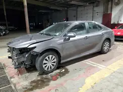 4T1C31AK9PU602064 2023 TOYOTA CAMRY
