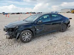 4T1C31AK9PU604462 2023 TOYOTA CAMRY