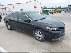 4T1C31AKXLU013681 2020 TOYOTA CAMRY