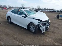 4T1C31AKXLU019674 2020 TOYOTA CAMRY