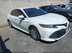 4T1C31AKXLU527580 2020 TOYOTA CAMRY