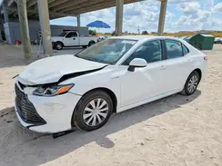 4T1C31AKXLU528406 2020 TOYOTA CAMRY