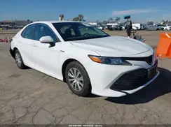 4T1C31AKXLU531127 2020 TOYOTA CAMRY