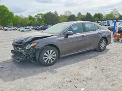 4T1C31AKXLU533668 2020 TOYOTA CAMRY