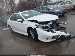 4T1C31AKXLU534366 2020 TOYOTA CAMRY