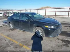 4T1C31AKXLU537333 2020 TOYOTA CAMRY