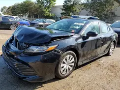 4T1C31AKXLU543861 2020 TOYOTA CAMRY