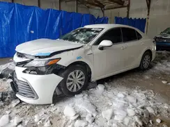 4T1C31AKXMU022589 2021 TOYOTA CAMRY