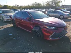 4T1C31AKXMU548561 2021 TOYOTA CAMRY