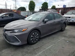 4T1C31AKXMU560399 2021 TOYOTA CAMRY