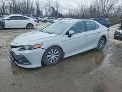 4T1C31AKXPU047044 2023 TOYOTA CAMRY