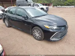 4T1C31AKXPU051949 2023 TOYOTA CAMRY