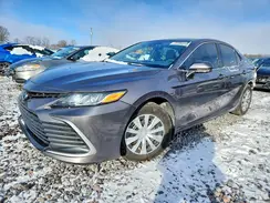 4T1C31AKXPU052356 2023 TOYOTA CAMRY