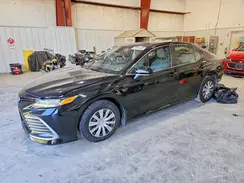 4T1C31AKXPU607905 2023 TOYOTA CAMRY