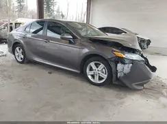 4T1C31AKXPU610688 2023 TOYOTA CAMRY