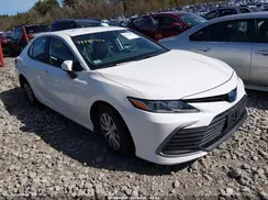 4T1C31AKXRU064431 2024 TOYOTA CAMRY