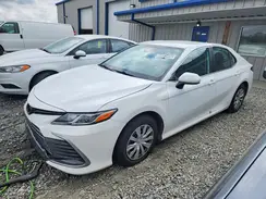 4T1C31AKXRU628305 2024 TOYOTA CAMRY
