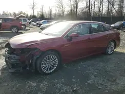 4T1D21FB0LU015956 2020 TOYOTA AVALON