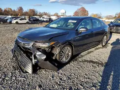 4T1D21FB3LU016079 2020 TOYOTA AVALON