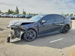 4T1DAACK2SU113537 2025 TOYOTA CAMRY