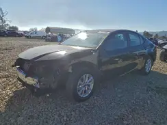 4T1DAACK2TU224137 2026 TOYOTA CAMRY