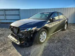 4T1DAACK6SU555544 2025 TOYOTA CAMRY