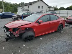 4T1DBADK3SU031313 2025 TOYOTA CAMRY