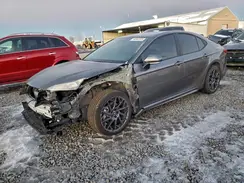 4T1DBADK9SU539978 2025 TOYOTA CAMRY