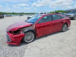 4T1DZ1FB2LU055502 2020 TOYOTA AVALON