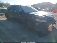 4T1E31AK1LU015277 2020 TOYOTA CAMRY