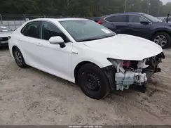 4T1E31AK3LU520981 2020 TOYOTA CAMRY