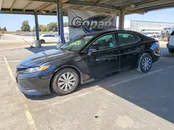 4T1E31AK5LU527446 2020 TOYOTA CAMRY