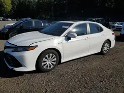 4T1E31AK6LU014142 2020 TOYOTA CAMRY