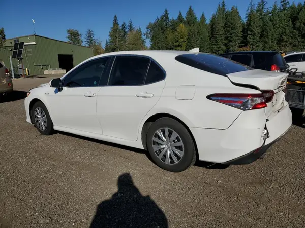 4T1E31AK6LU014142 2020 TOYOTA CAMRY - Image 2