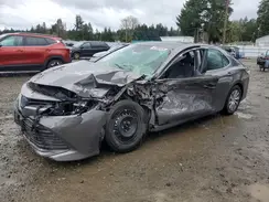 4T1E31AK6LU537953 2020 TOYOTA CAMRY