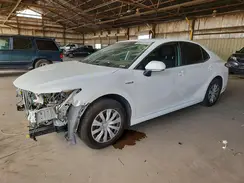 4T1E31AK7LU525388 2020 TOYOTA CAMRY