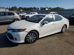 4T1E31AKXLU527684 2020 TOYOTA CAMRY