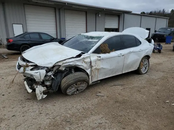 4T1F11AK0LU909202 2020 TOYOTA CAMRY - Image 1
