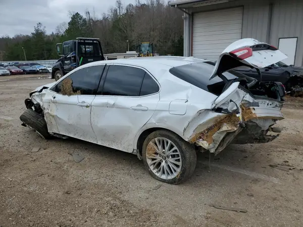 4T1F11AK0LU909202 2020 TOYOTA CAMRY - Image 2