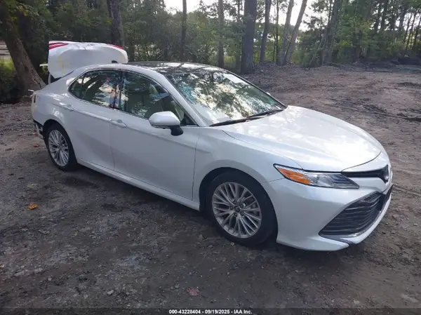 4T1F11AK1LU355099 2020 TOYOTA CAMRY - Image 1