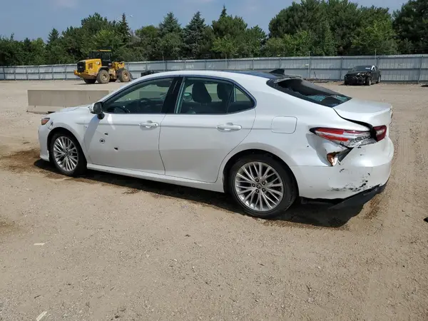 4T1F11AK2LU949541 2020 TOYOTA CAMRY - Image 2