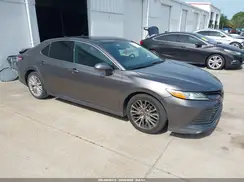 4T1F11AK3LU386564 2020 TOYOTA CAMRY