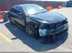 4T1F11AK3PU150809 2023 TOYOTA CAMRY