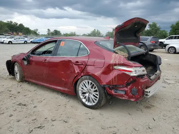4T1F11AK4LU328687 2020 TOYOTA CAMRY - Image 2