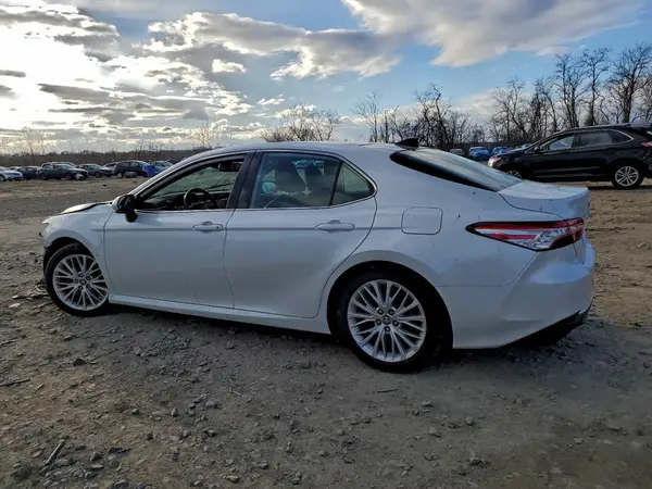 4T1F11AK4LU996490 2020 TOYOTA CAMRY - Image 2
